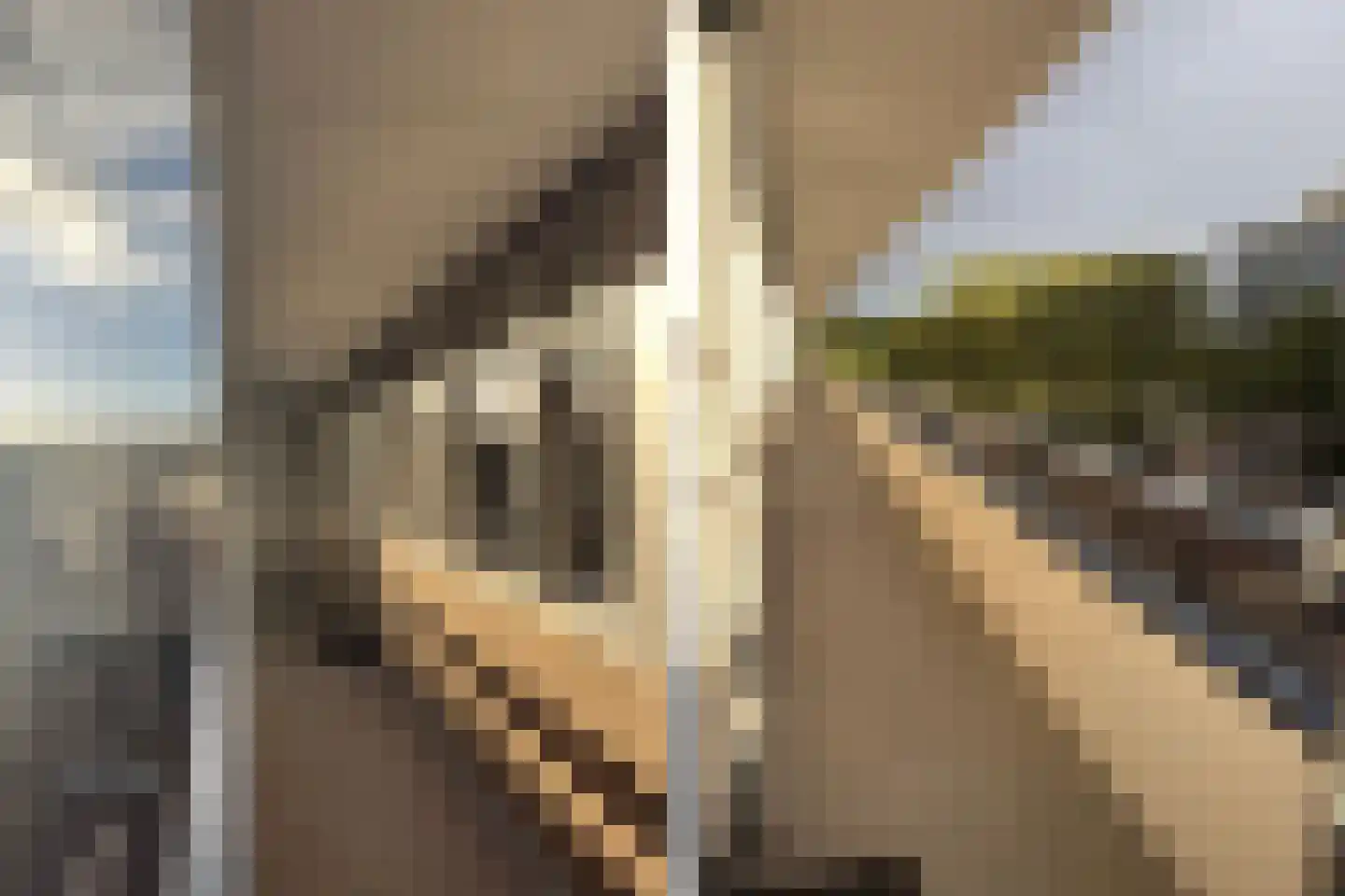 Hisveltplein 62 Arnhem thumbnail 24