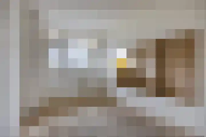 Hisveltplein 64 Arnhem thumbnail 13