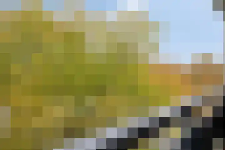 Hisveltplein 64 Arnhem thumbnail 7
