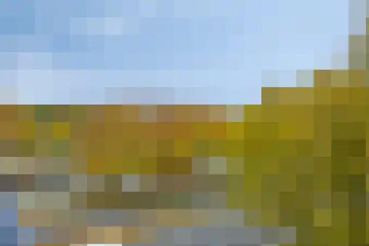 Hisveltplein 64 Arnhem thumbnail 8