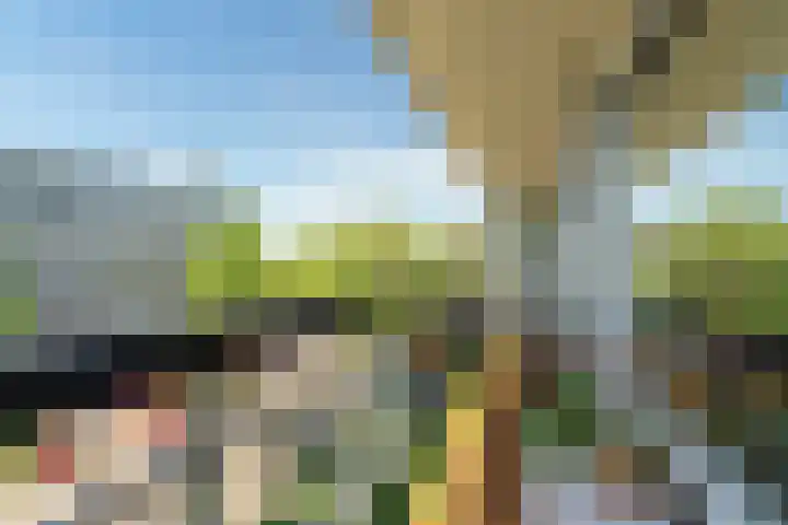 Hisveltplein 78 Arnhem thumbnail 8