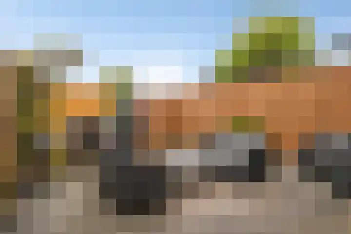 Hitchcockstrook 23 Zoetermeer thumbnail 18