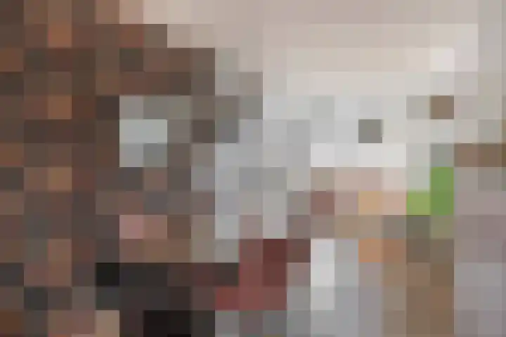 Hitchcockstrook 27 Zoetermeer thumbnail 11