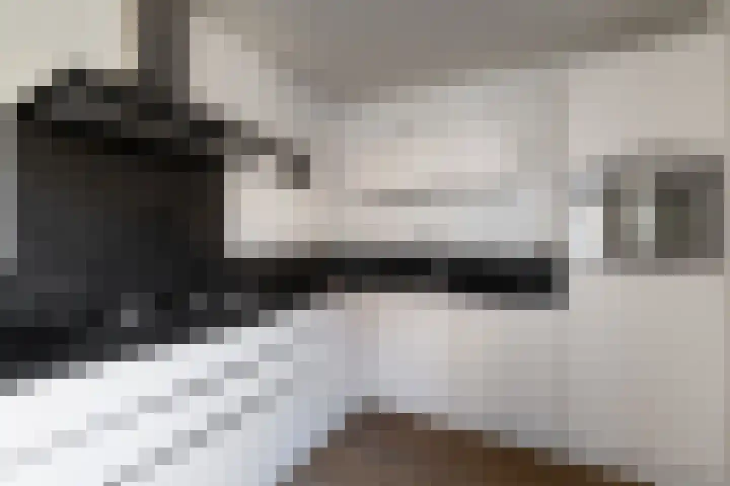 Hitchcockstrook 77 Zoetermeer thumbnail 19