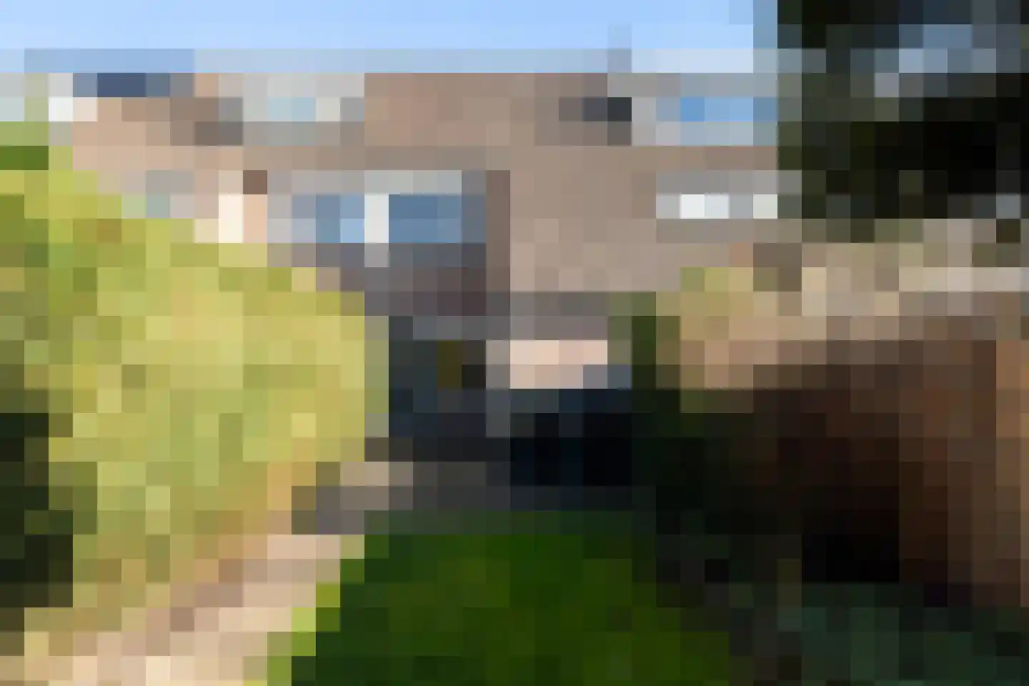 Hitchcockstrook 77 Zoetermeer thumbnail 4