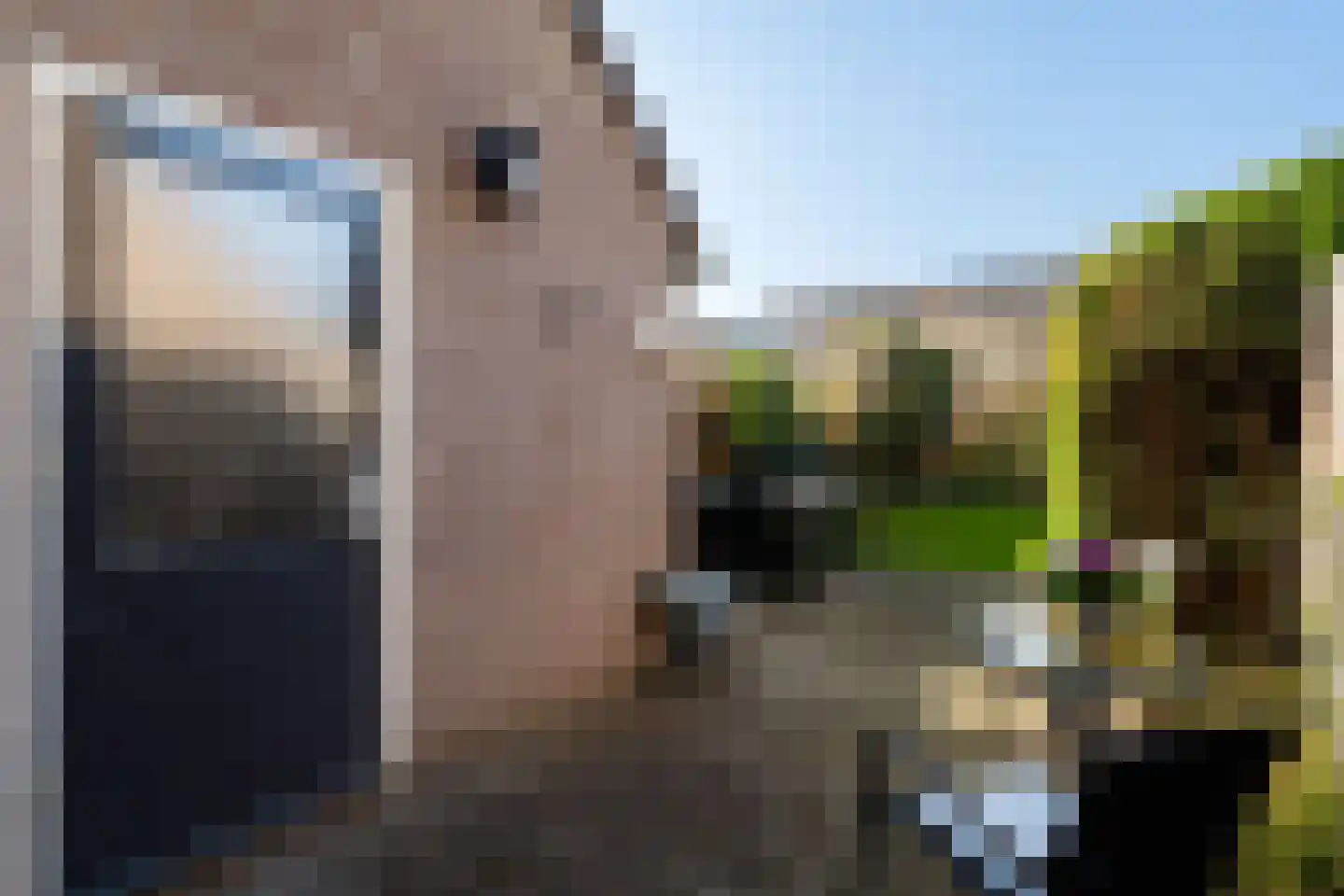 Hitchcockstrook 77 Zoetermeer thumbnail 41