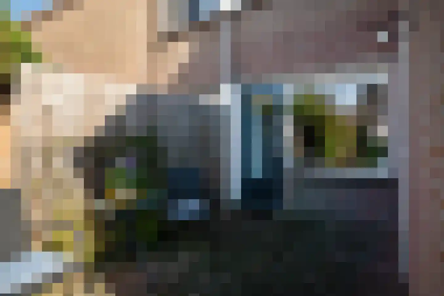 Hitchcockstrook 77 Zoetermeer thumbnail 42