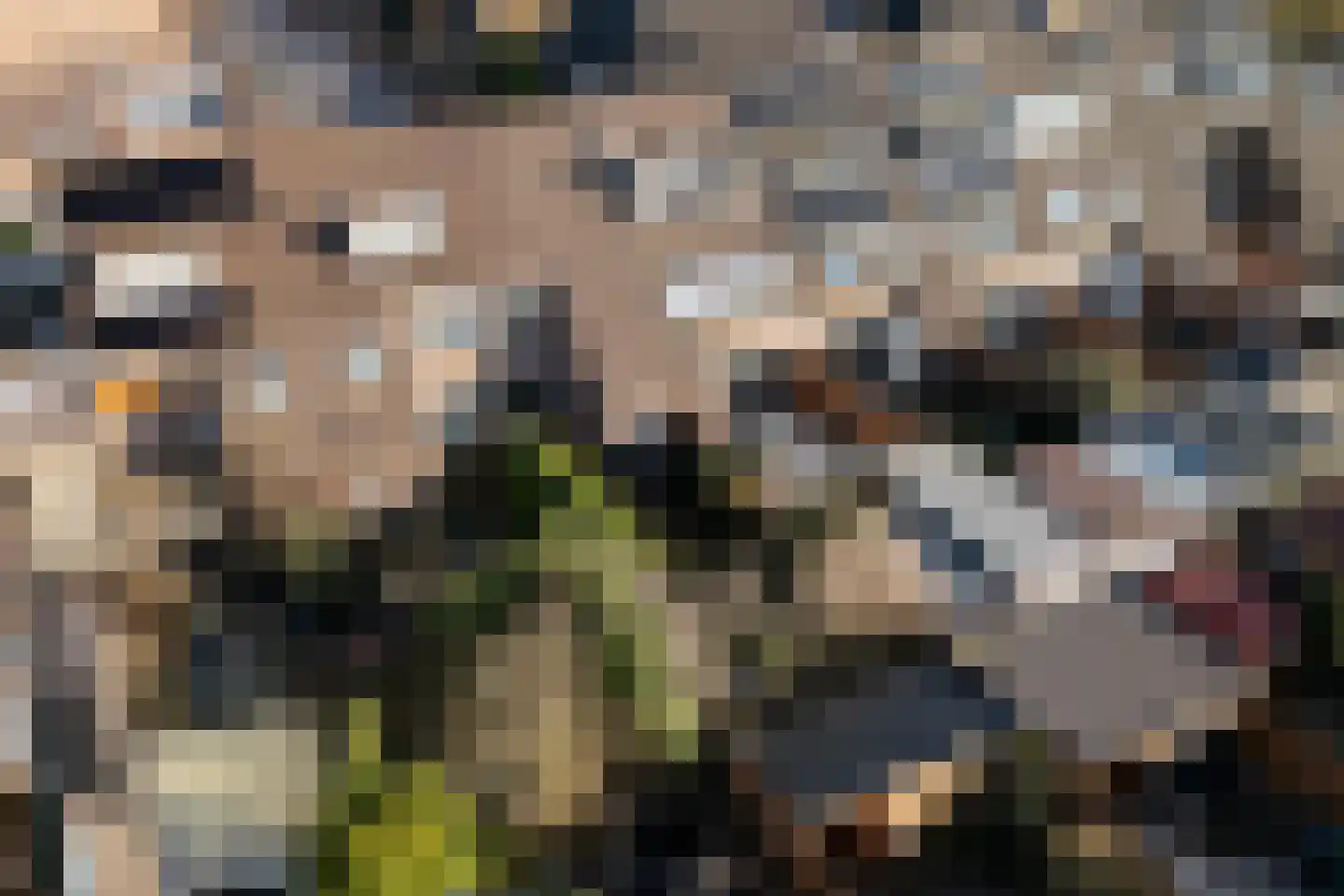 Hitchcockstrook 77 Zoetermeer thumbnail 54
