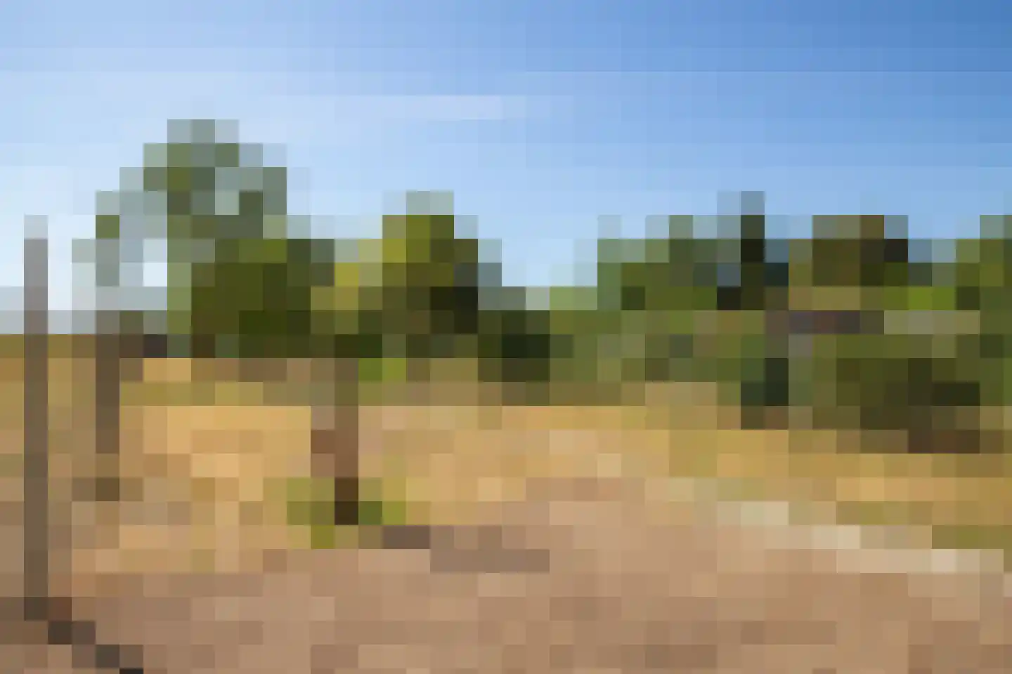 Hitsberg 4 Born thumbnail 21