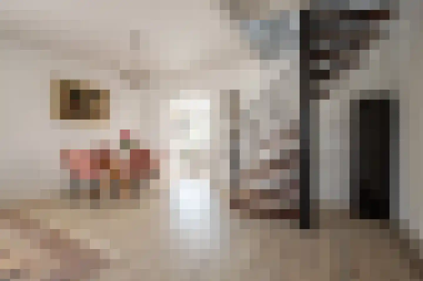 Hitsberg 4 Born thumbnail 6