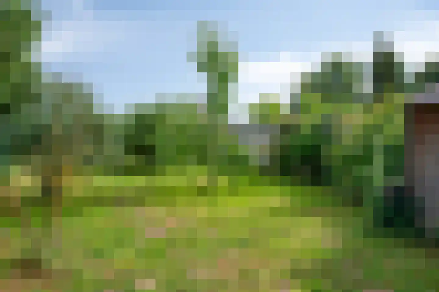 Hitsberg 5 Born thumbnail 20