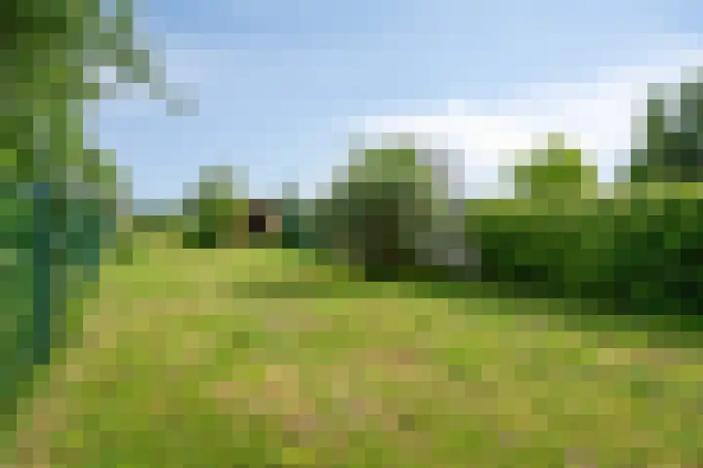 Hitsberg 5 Born thumbnail 4