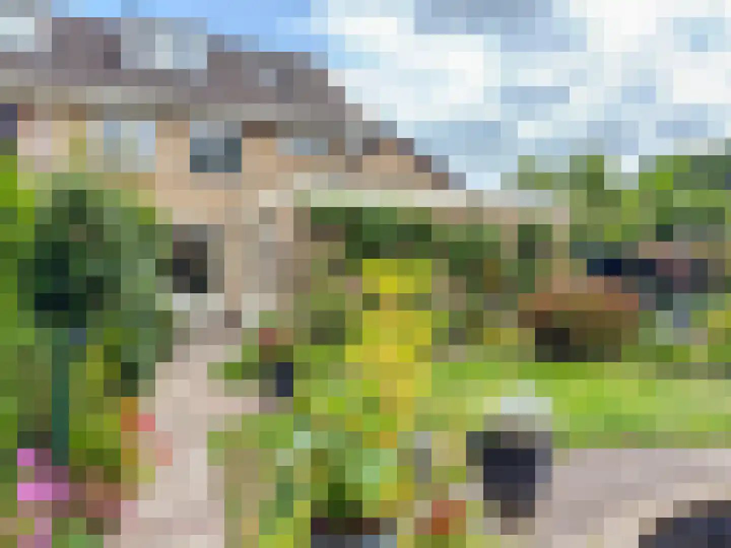 Hittekamp 31 Leersum