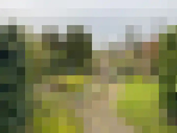 Hittekamp 33 Leersum thumbnail 18