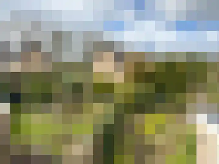Hittekamp 33 Leersum thumbnail 20