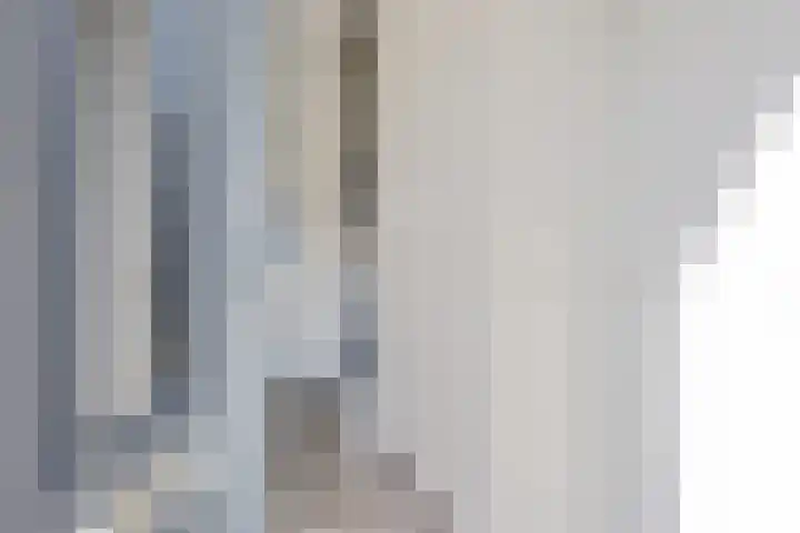 Hjouwerpaed 13 Ureterp thumbnail 13