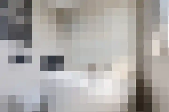 Hjouwerpaed 13 Ureterp thumbnail 22
