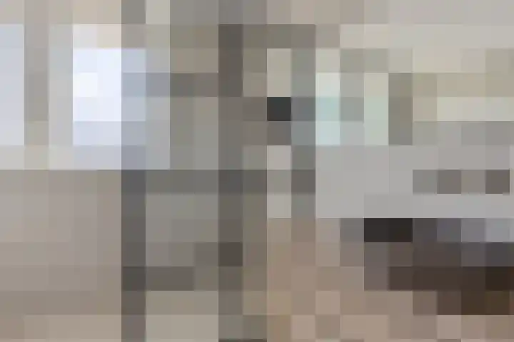 Hjouwerpaed 13 Ureterp thumbnail 23