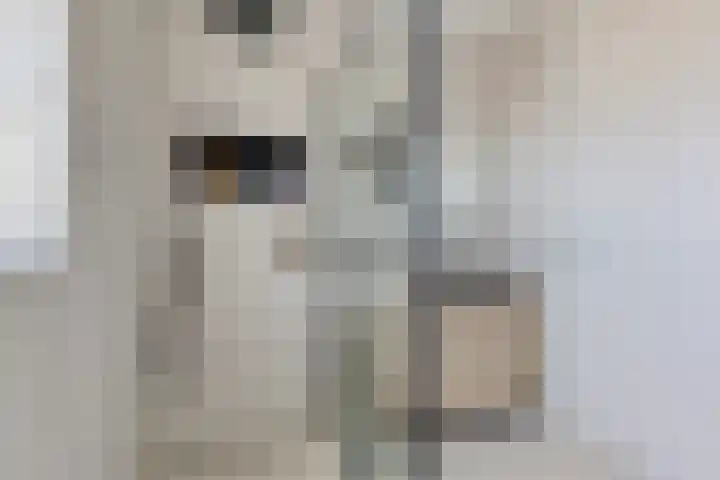 Hjouwerpaed 13 Ureterp thumbnail 24