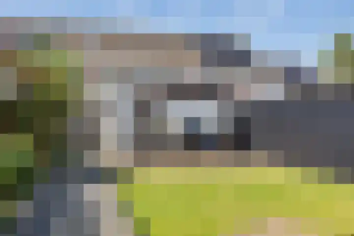 Hjouwerpaed 13 Ureterp thumbnail 30