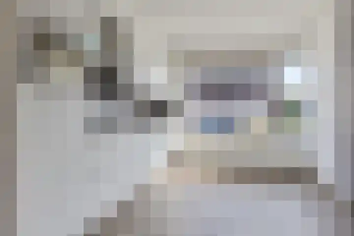 Hjouwerpaed 13 Ureterp thumbnail 5