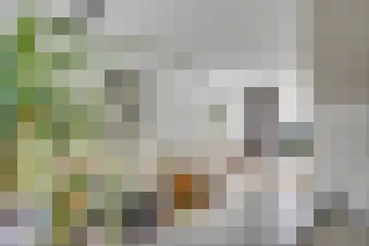 Hoannekamp 24 Langweer thumbnail 15