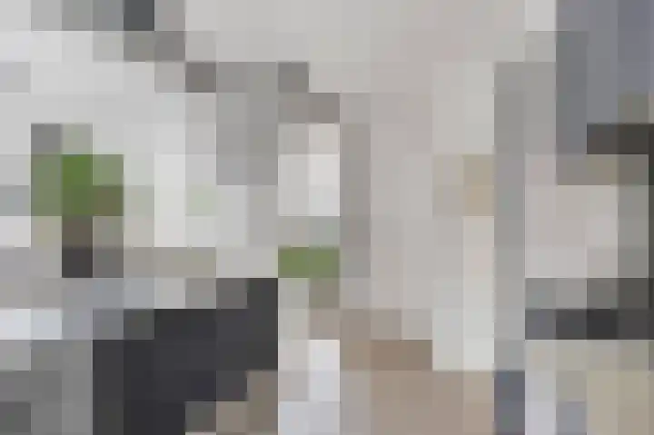 Hoannekamp 24 Langweer thumbnail 18