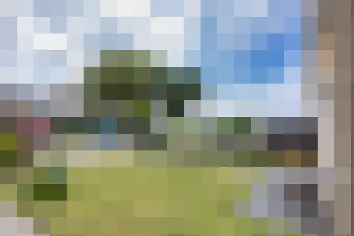 Hoannekamp 24 Langweer thumbnail 6