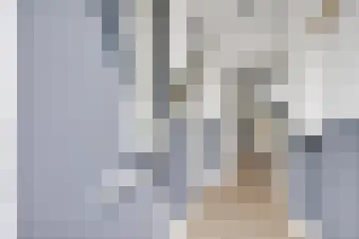 Hoannekamp 24 Langweer thumbnail 7