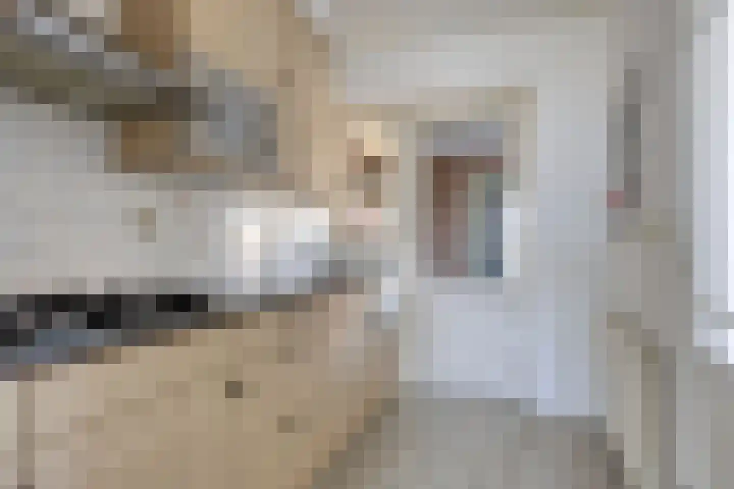Hoannekamp 4 Langweer thumbnail 15