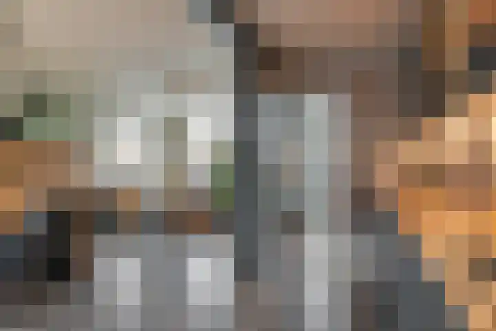 Hoannekamp 8 Langweer thumbnail 13
