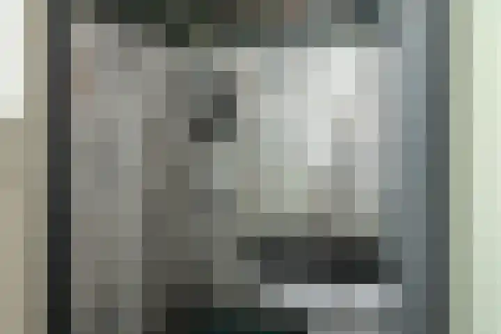 Hoannekamp 8 Langweer thumbnail 15