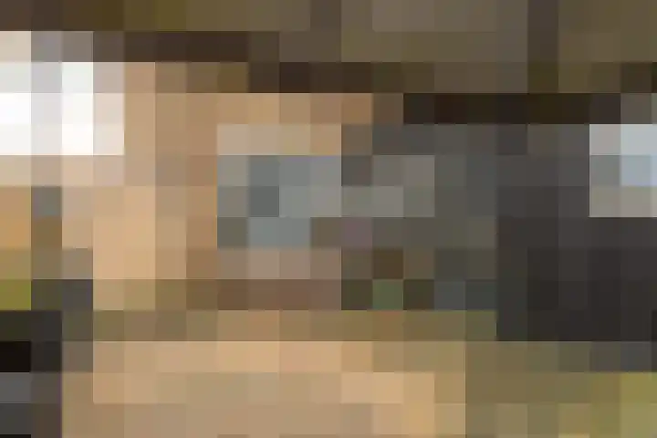 Hoannekamp 8 Langweer thumbnail 23