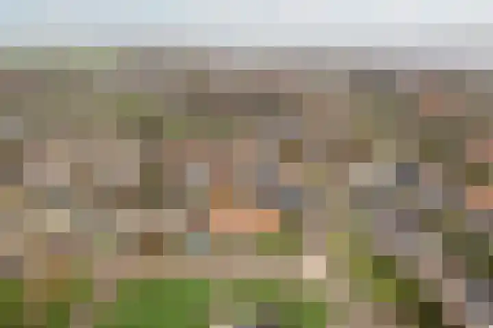 Hoannekamp 8 Langweer thumbnail 26