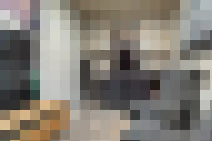 Hoannekamp 8 Langweer thumbnail 5