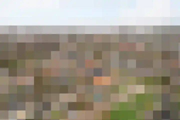 Hoannekamp 8 Langweer thumbnail 6