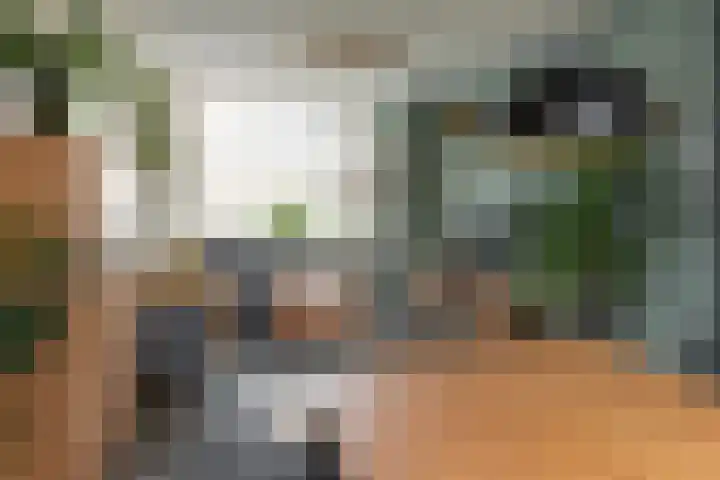 Hoannekamp 8 Langweer thumbnail 8