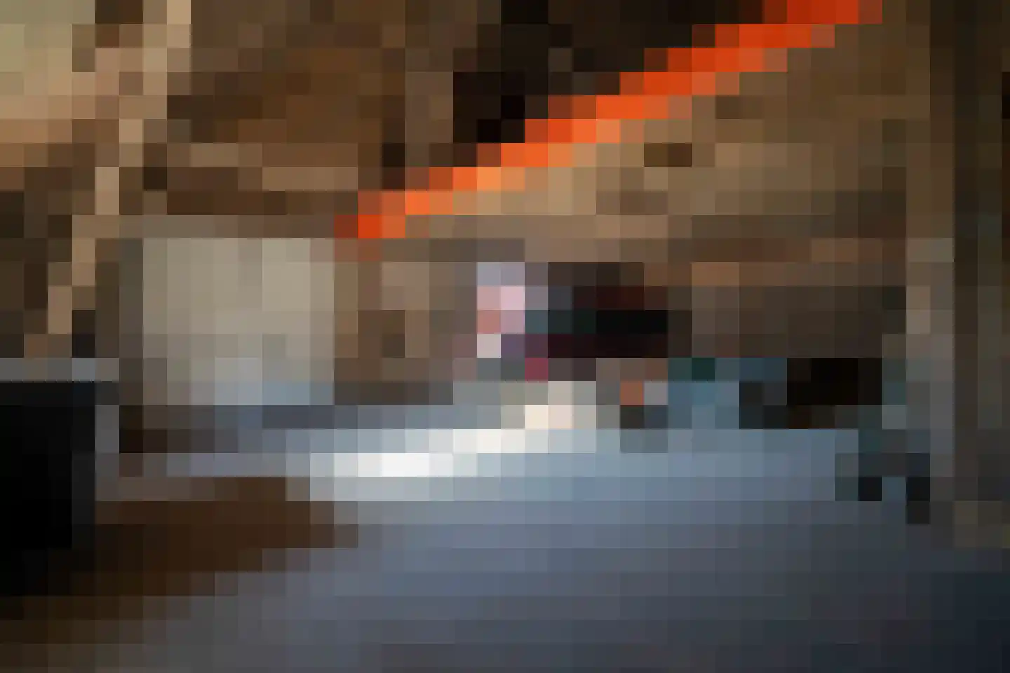 Hoarnestreek 11 Pietersbierum thumbnail 31