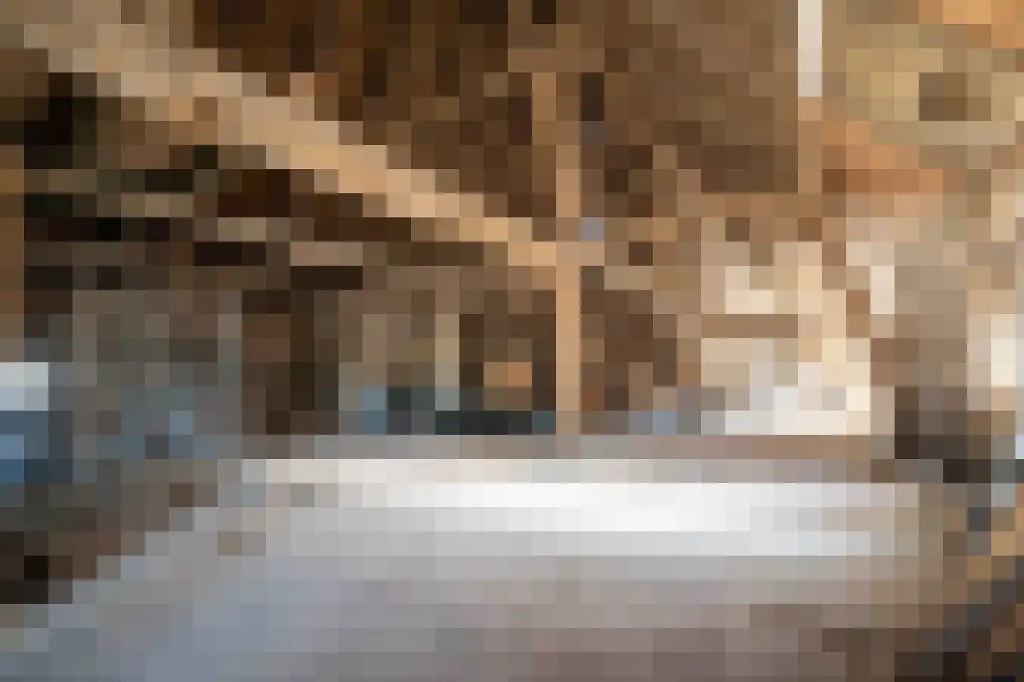 Hoarnestreek 11 Pietersbierum thumbnail 32