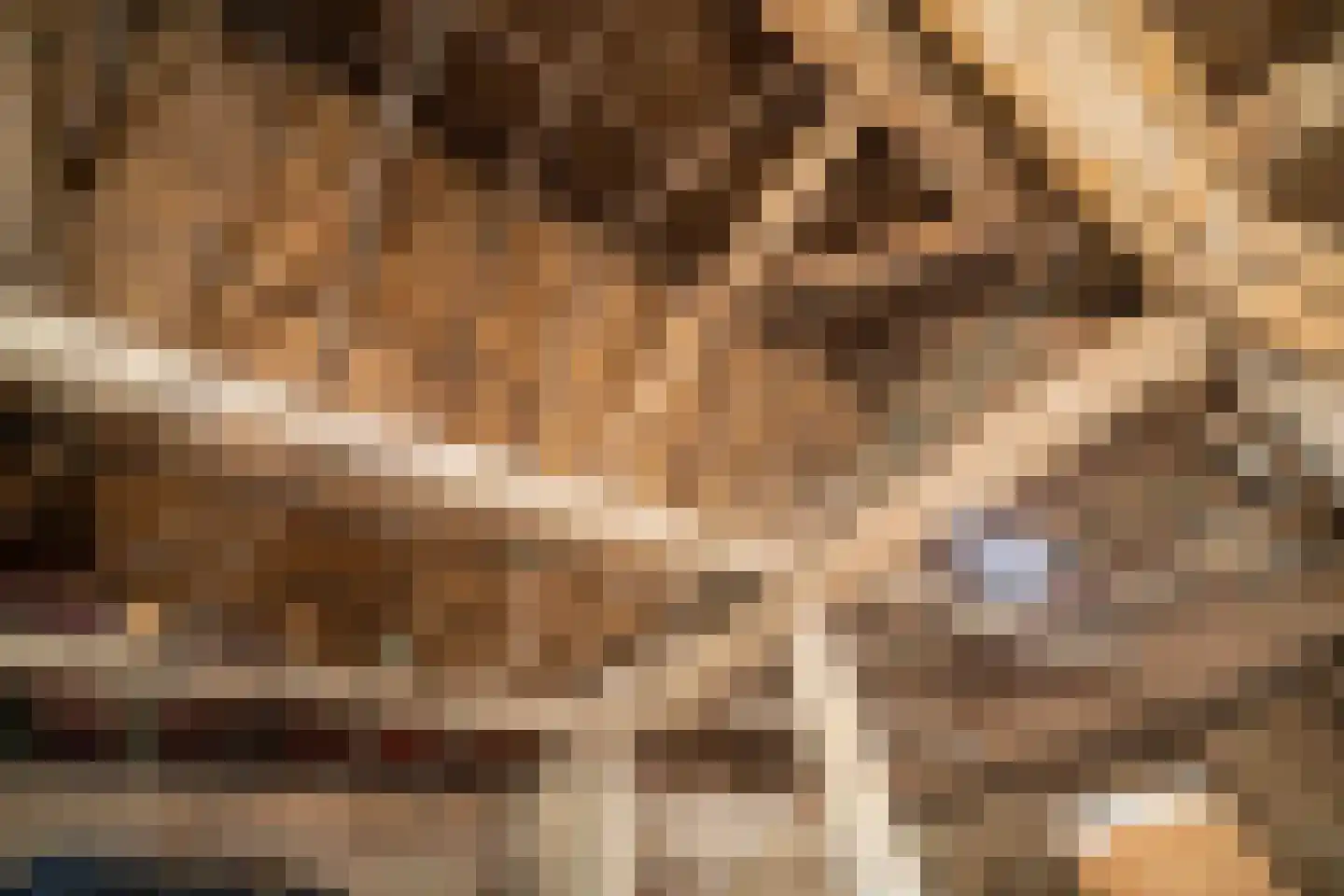 Hoarnestreek 11 Pietersbierum thumbnail 33