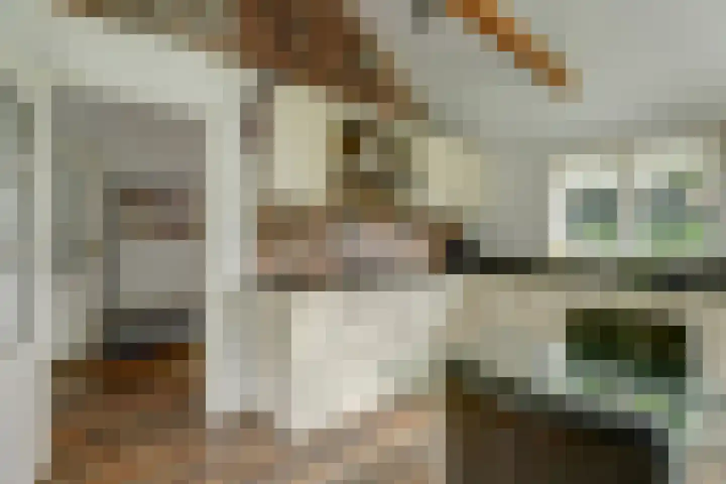 Hoarslânsdyk 1 Bitgum thumbnail 10