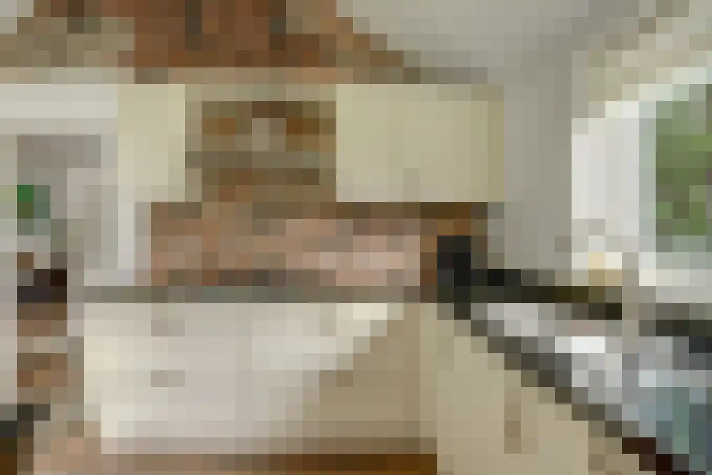 Hoarslânsdyk 1 Bitgum thumbnail 11