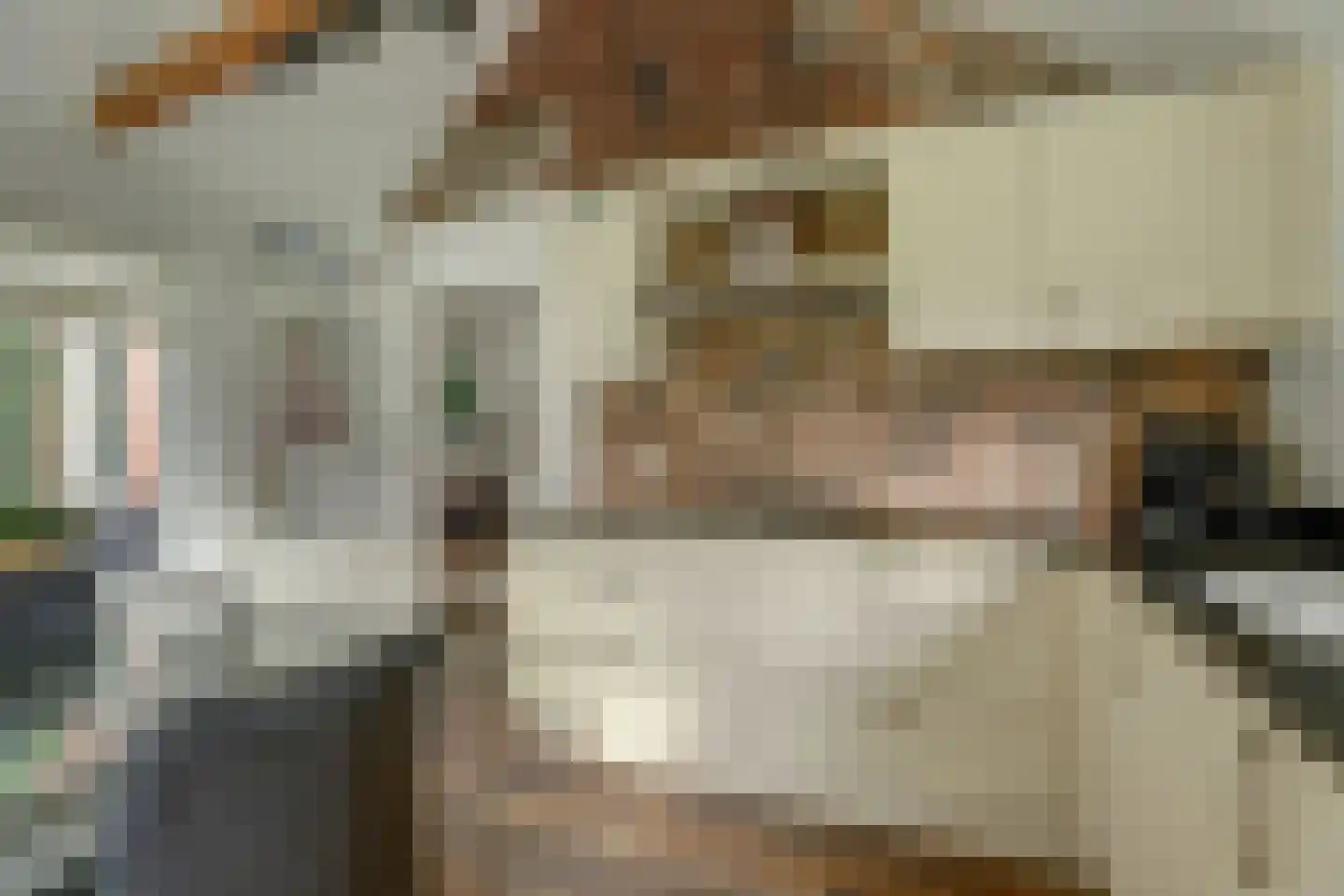 Hoarslânsdyk 1 Bitgum thumbnail 12