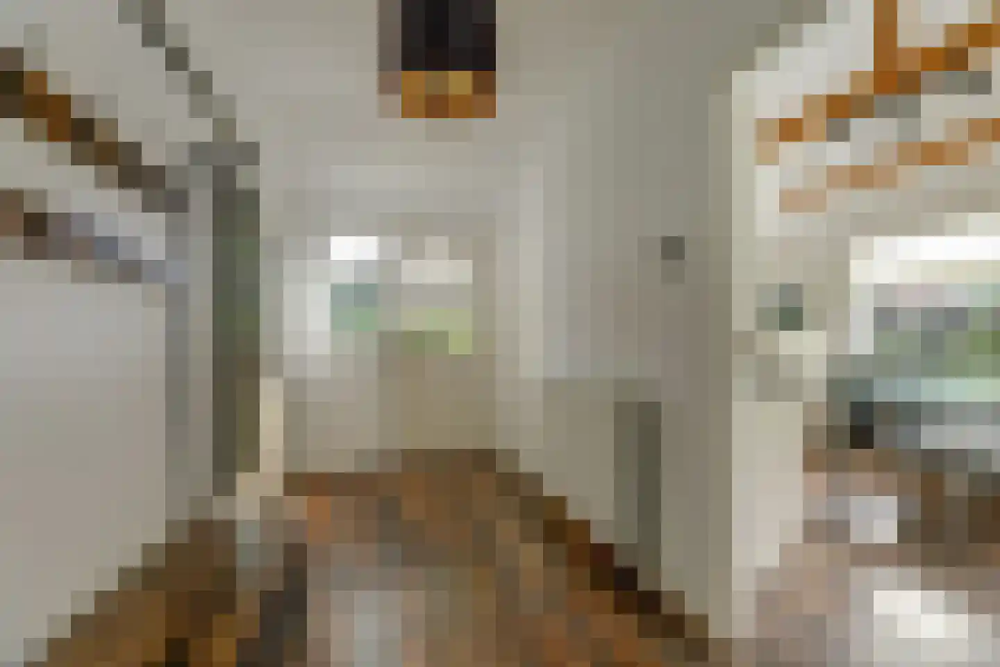 Hoarslânsdyk 1 Bitgum thumbnail 13