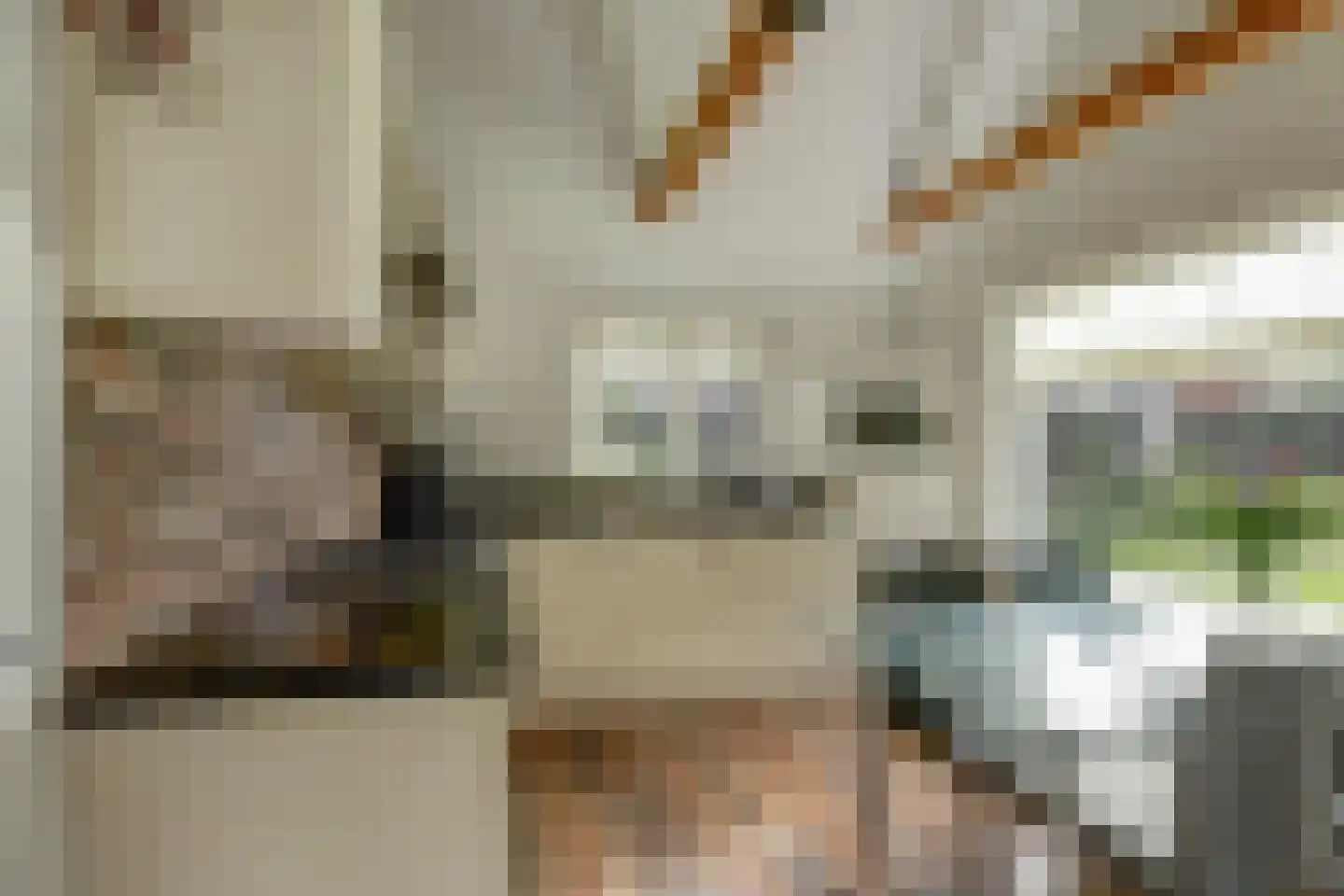 Hoarslânsdyk 1 Bitgum thumbnail 15