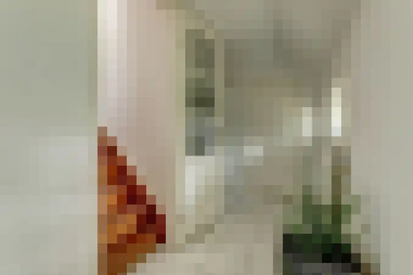 Hoarslânsdyk 1 Bitgum thumbnail 17