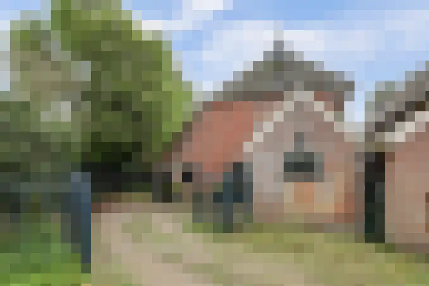Hoarslânsdyk 1 Bitgum foto 2