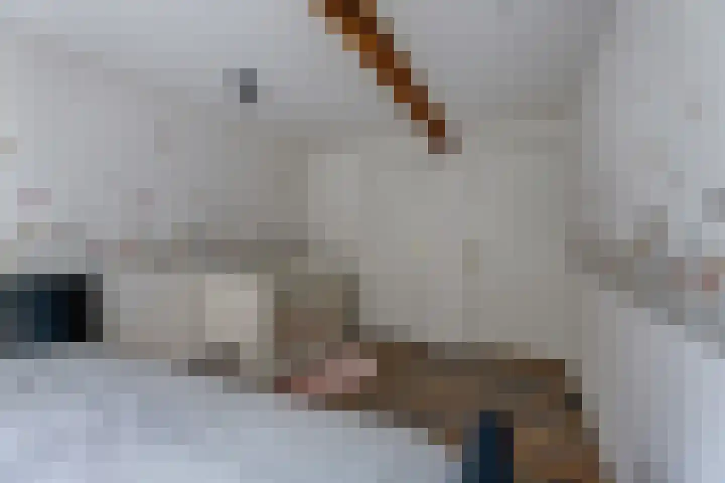 Hoarslânsdyk 1 Bitgum thumbnail 22