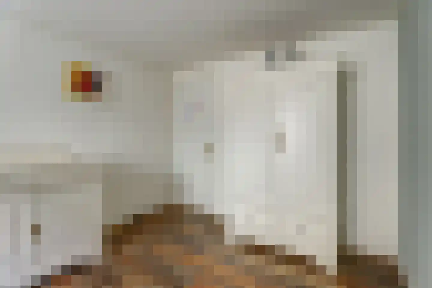 Hoarslânsdyk 1 Bitgum thumbnail 24