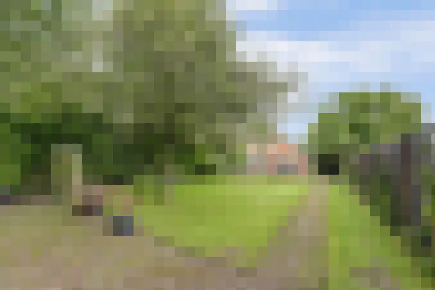 Hoarslânsdyk 1 Bitgum foto 3